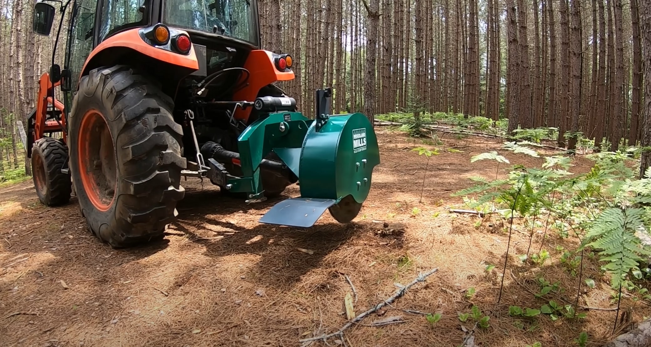 Professional stump grinding and removal services in Kingman