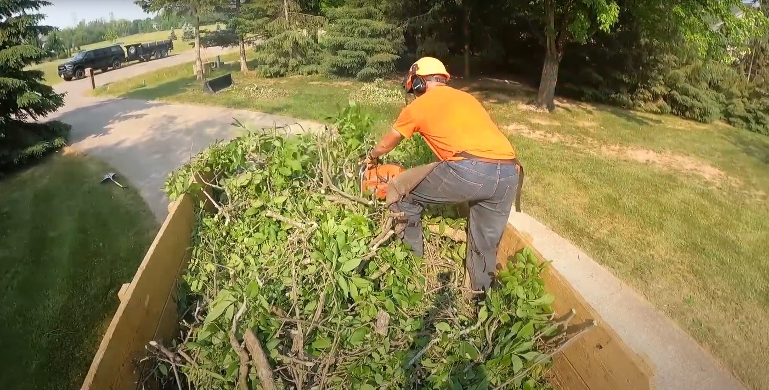 Professional chainsaw work for safe tree removal